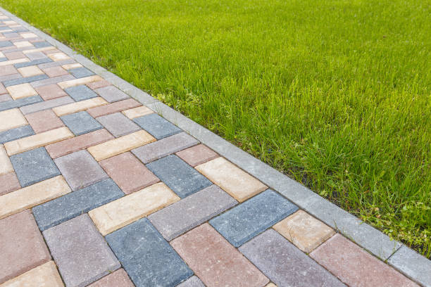 Best Driveway Paving Contractor  in Benavides, TX
